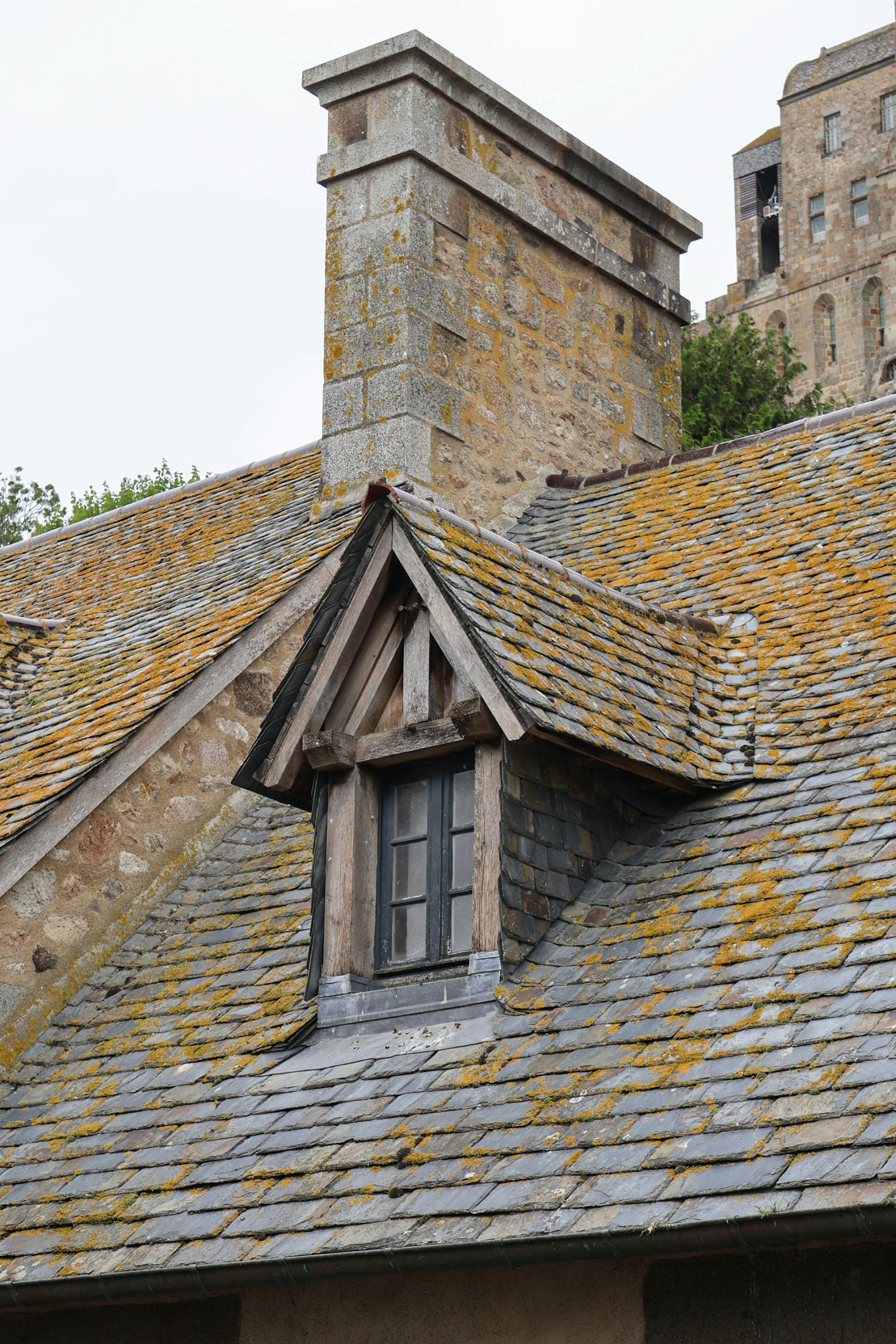 Nettoyage et démoussage de toiture